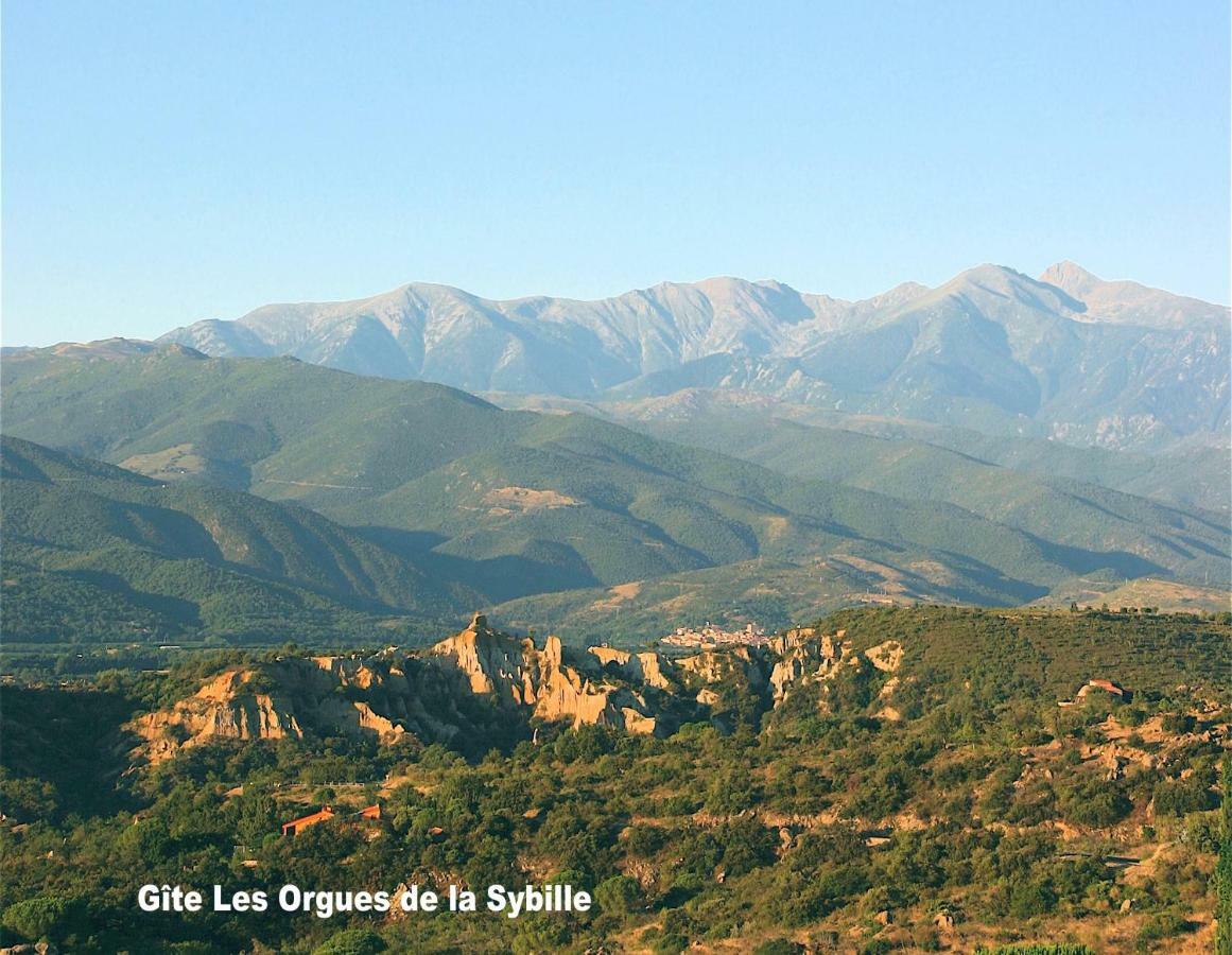 Gite Des Orgues De La Sybille Agave Canigou Exterior foto